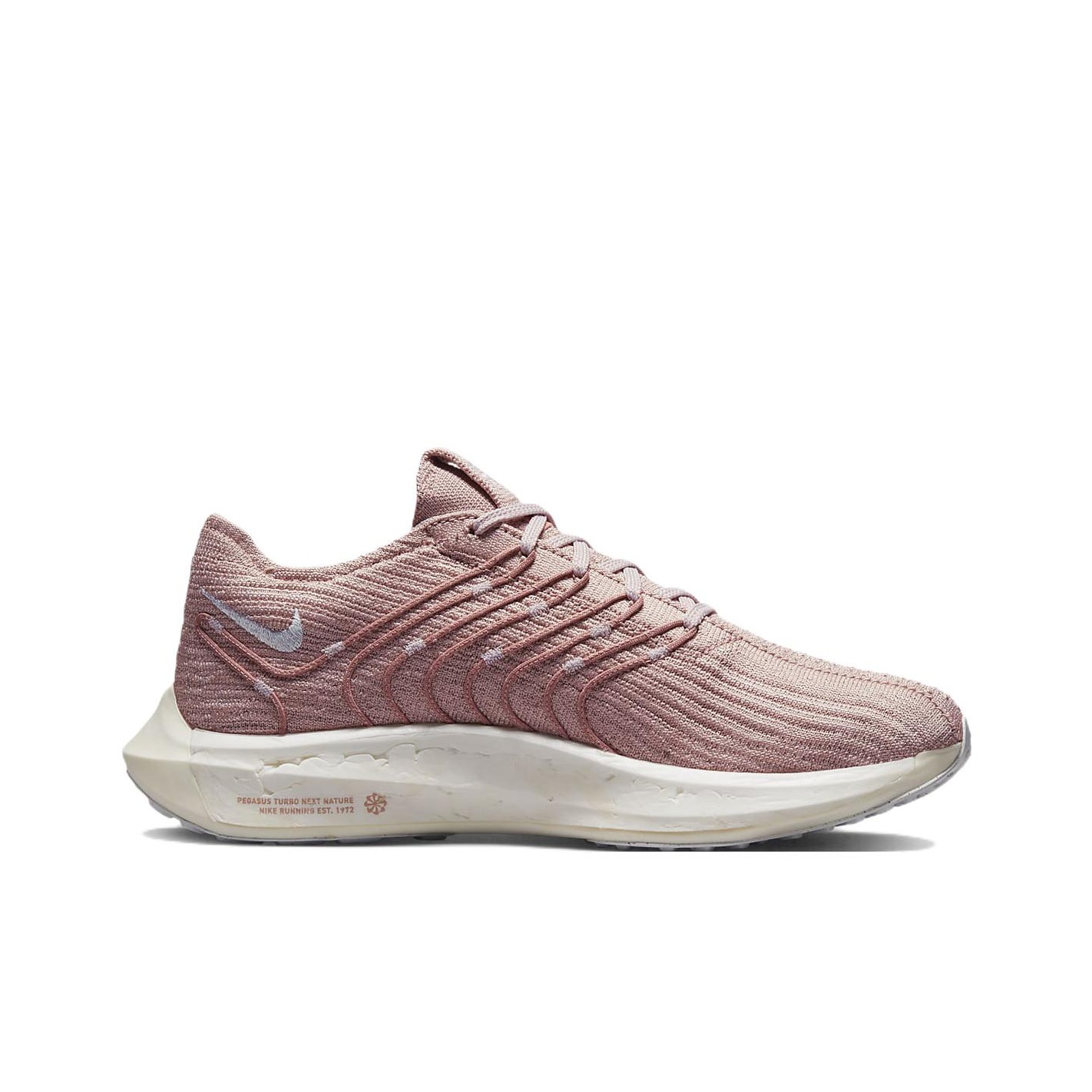Nike Pegasus Turbo Next Nature - đánh giá và giá Men'S Shoes Next