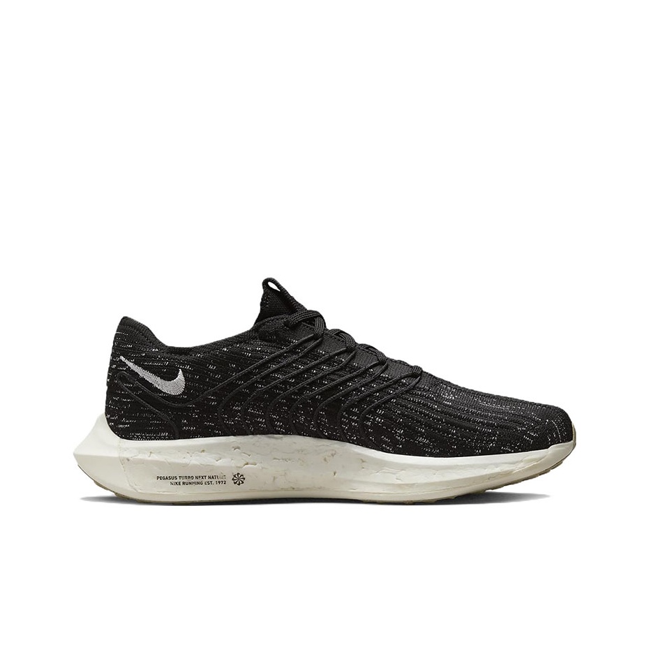 Nike Pegasus Turbo Next Nature - đánh giá và giá Men'S Shoes Next